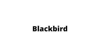 Blackbird (Cover)