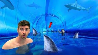 LARGEST SHARK TUNNEL!! - 5,000,000 Liter AQUARIUM!!