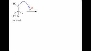 Imine Formation