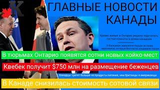 Новости: Сотовая связь подешевела; Деньги на беженцев; Героин от правозащитников и другие новости