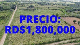 En Venta Finca con Título de 25 Tareas a Borde de Carretera con Tierra llana de Alta Productividad