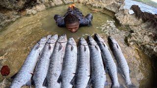 8 Huge Barracuda Speared / 2 Monster African Pompano Spotted All In Todays Dive #mustwatch #viral