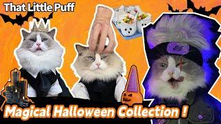 The most magical Halloween collection！| That Little Puff️