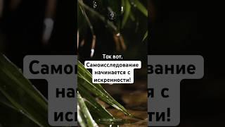 Самоисследование начинается с искренности! #нисарга #юрийменячихин #живи_и_радуйся
