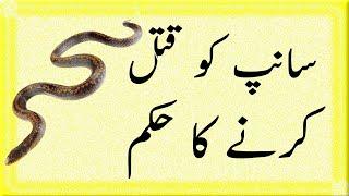 Saanp ko marna in islam By Mufti Muhammad Ahsan Alam