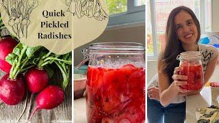 Quick Pickled Radishes 