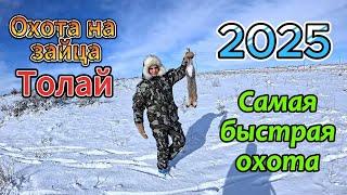 Охота на зайца. 2025 Самая быстрая охота