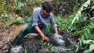 Đối Đầu Thuỷ Quái Trong Rừng Già Lê Minh Xuân | Confronting Water Monsters in the Forest