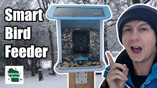 Is this the Best Smart Bird Feeder? (Lyfreen Smart Bird Feeder Review)