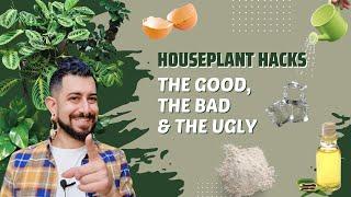 Houseplant Hacks | Over 15 Hacks | The Good, The Bad and the Ugly | Plant Hacks busted