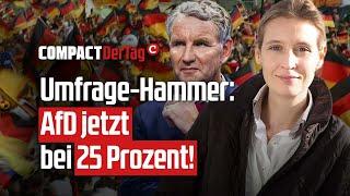 Umfrage-Hammer: AfD jetzt bei 25 Prozent!