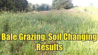 Bale Grazing, Soil Changing Results