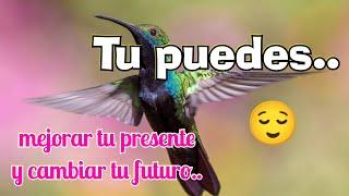 Tu puedes cambiar mejorar tu presente y cambiar tu futuro, MENSAJE DE BUENAS TARDES