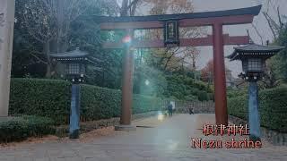 Nezu shrine in autumn