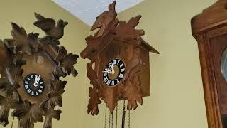 My clock collection #45 (31st of July 2023)