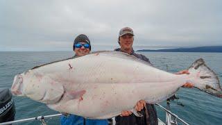 GIANT Alaskan Halibut... Catch Clean Cook