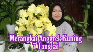 Cara Merangkai Bunga Anggrek 7 Tangkai