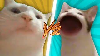 Pop Cat VS Vibing Cat