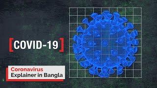 Bangla: Coronavirus Information in Your Language | Information Video | Portal Available Online