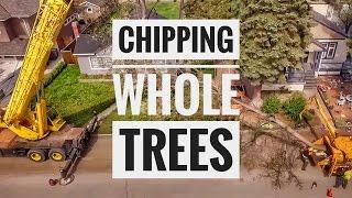 Chipping Trees With A Crane And A Vermeer BC2000