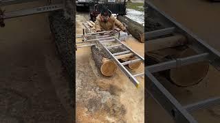 Chainsaw First Cut On Cherry Crotch Log | #chainsaw #lumber #woodworking #tools #diy #ideas