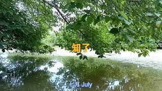 四季变换，河边的风景。春夏秋冬，一年又一年。