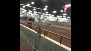 Elle~Eq railwork