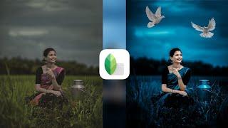 Snapseed Dark Blue And Bird Effect Photo Editing Tutorial | Snapseed Background Colour Change Tricks