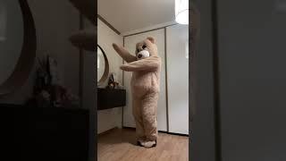 곰이 추는 곰가민가요 (Billie - GingaMingaYo (the strange world))