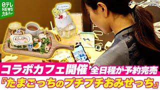 『たまごっちのプチプチおみせっち』発売から約20年　コラボカフェ開催　全日程が予約完売の人気ぶり