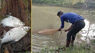 Awesome Traditional Net Fishing Video - Best Net Fishing in Pond