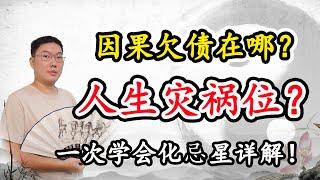 一次学会，化忌星详解！含十天干化忌！这辈子因果欠债在哪？人生灾祸位，破财、伤身、坏感情？