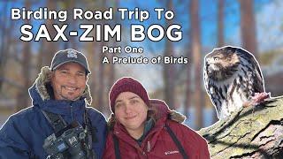 Birding Road Trip to Sax-Zim Bog Part One A Prelude of Birds