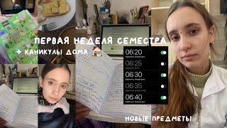 Первая неделя нового семестра: мои мысли, покупки и каникулы