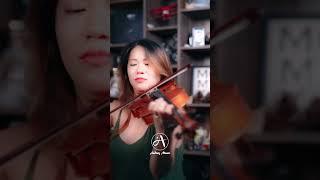 Belle #violin #violinplaying #music #violinst #violinist  #violinplayer #violinmusic #violincover