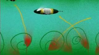 bee animation