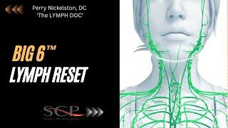 Big 6™ Lymph Reset