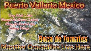 Puerto Vallarta Mexico - Monster Crocodiles Live Here - Boca de Tomates