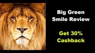  Big Green Smile Review | Is Big Green Smile Good? | Get 30% Cashback