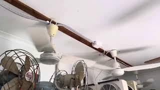 Row of ceiling fans on variety of speeds