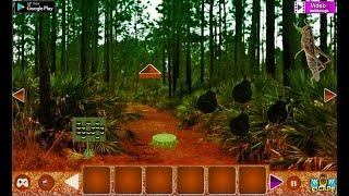 Wow Grasshopper Forest Escape Walkthrough [WowEscape]