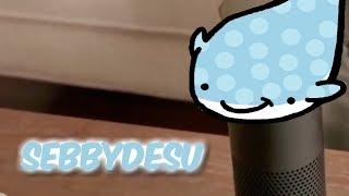 If Sebbydesu was Amazon Echo!