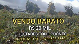 VENDO BARATO 20 MIL 3 HECTARES SUA GRANDE OPORTUNIDADE 8799102 3154/ 8799603 8560