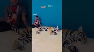 #tigerpark #pattaya #tigerlove #ajeeshvlogster #tigercub #vlog #trending #staytuned #hukum #jailer