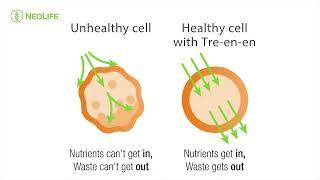 Benefits of Tre en en Grain Concentrates by Liz Geerdts director of products neolife africa