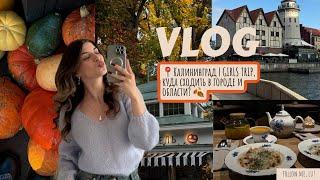 vlog из Калининграда | первый раз в girls trip| куда сходить в городе и области 