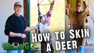 How To Easily Skin A Deer (#580)