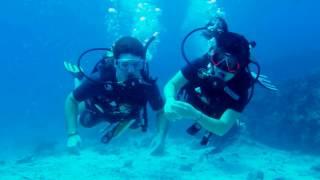 PADI 5 Star IDC Dive Center "Scuba Birds" Diving in Koh Samu island