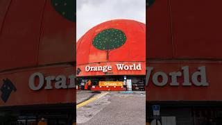 WORLD’S LARGEST ORANGE?  roadside attraction stop in Orlando, FL  Eli’s Orange World