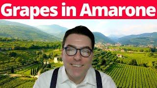 Amarone: The Grapes That Make One Of Italy's Best Red Wines